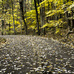 Autumn driving tips