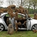 Baboons Attack Hyundai I30 to Prove Resilience 