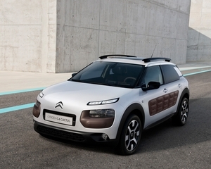 C4 Cactus