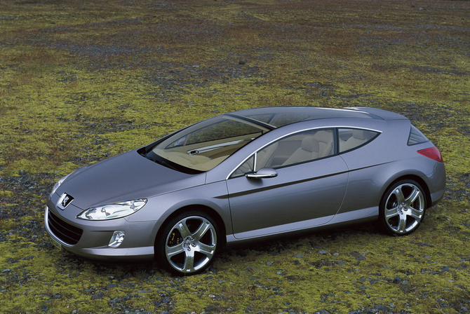 Peugeot 407 Elixir