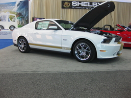 Shelby GTS 50th Anniversary