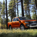 Ford Ranger 3.2 Duratorq TDCi WildTrak