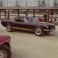 Ford Mustang GT 350 Shelby