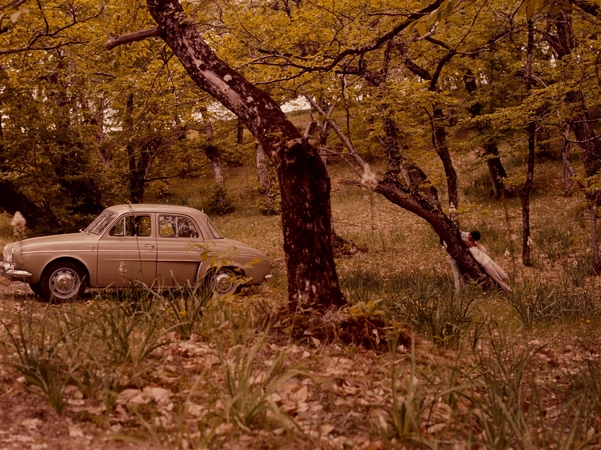 Renault Dauphine