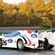 Rondeau M482 Le Mans GTP