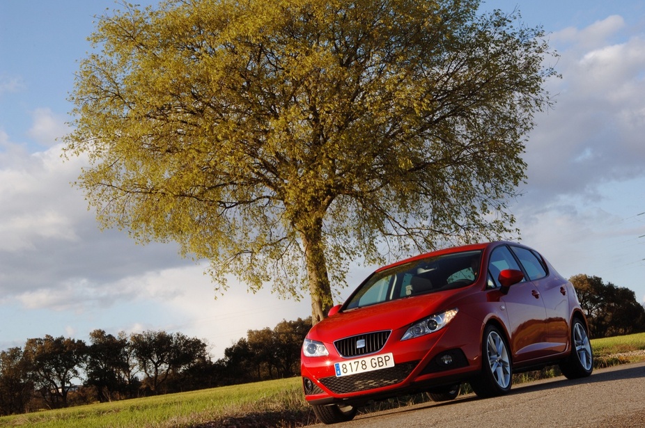 Seat Ibiza 1.9 TDI 105cv DPF Reference