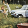 Opel Kadett Caravan