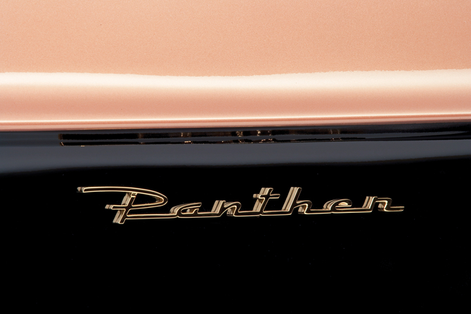 Packard Panther-Daytona Roadster Concept Car