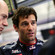 Webber takes pole in rainy practice