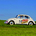 Volkswagen Beetle - The Love Bug