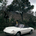 Alfa Romeo 1600 Spider Duetto