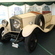 Rolls-Royce 20 hp