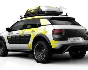 C4 Cactus 1.6 BlueHDi Airdream CVM Feel17