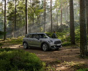 Countryman One