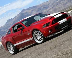 GT500 Super Snake