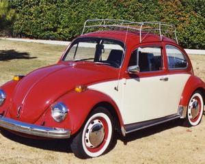 Beetle 1300