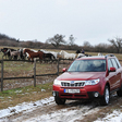 Forester 2.0X Active Automatic